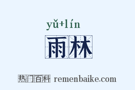 雨林是什么意思的图片